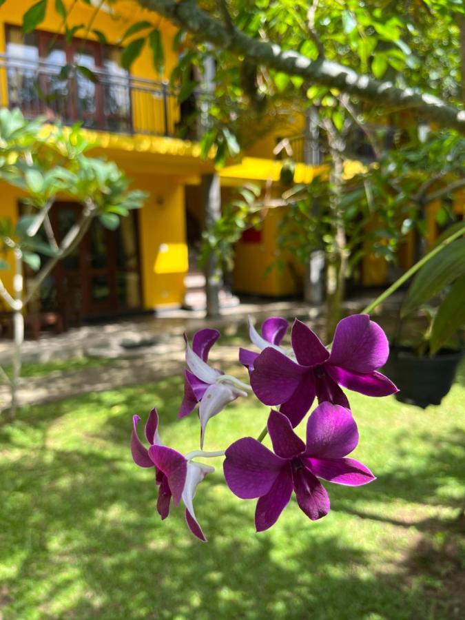 Easy Living Hotel Hikkaduwa Exterior photo